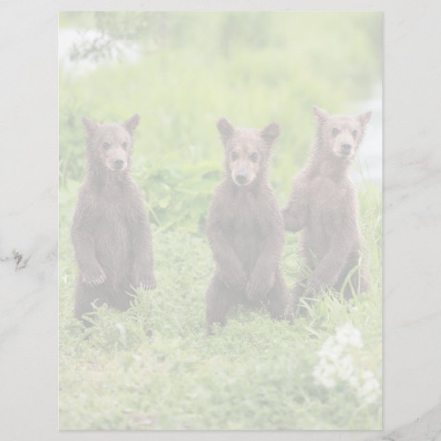 Cutest Baby Animals | Kamchatka Brown Bear Cubs (Front)