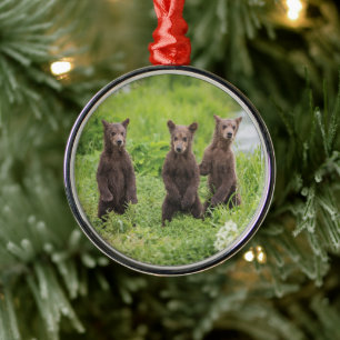 Cutest Baby Animals   Kamchatka Brown Bear Cubs Metal Tree Decoration