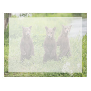 Cutest Baby Animals   Kamchatka Brown Bear Cubs Notepad