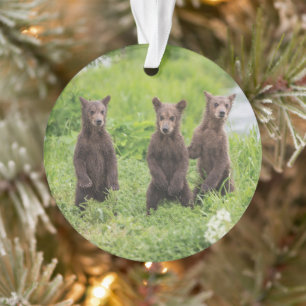Cutest Baby Animals Kamchatka Brown Bear Cubs Ornament