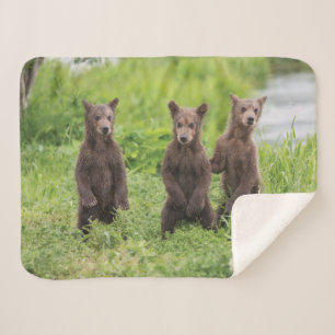 Cutest Baby Animals Kamchatka Brown Bear Cubs Sherpa Blanket