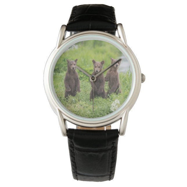 Cutest Baby Animals | Kamchatka Brown Bear Cubs Watch (Front)