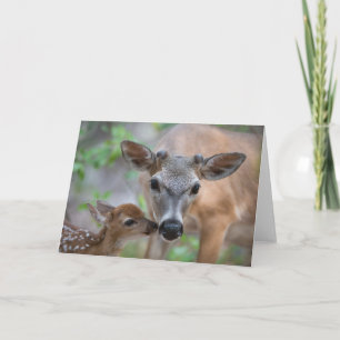 Cutest Baby Animals Key Deer Stag & Fawn Card