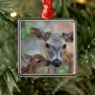 Cutest Baby Animals Key Deer Stag & Fawn Metal Tree Decoration