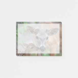 Cutest Baby Animals Key Deer Stag & Fawn Post-it Notes