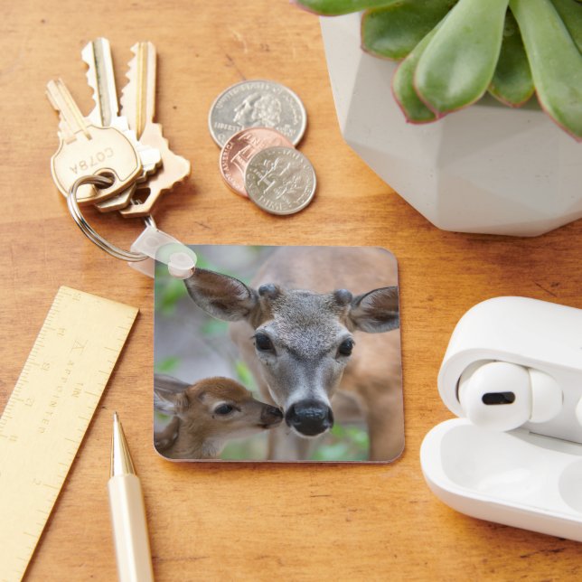 Cutest Baby Animals | Key Deer Stag & Fawn Ring (Desk)