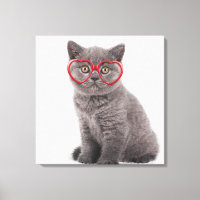 Cutest Baby Animals | Kitten Heart Glasses