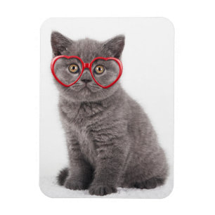 Cutest Baby Animals Kitten Heart Glasses Magnet