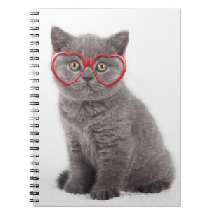 Cutest Baby Animals   Kitten Heart Glasses Notebook