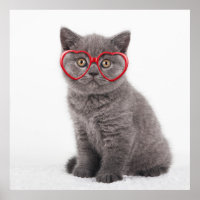 Cutest Baby Animals | Kitten Heart Glasses