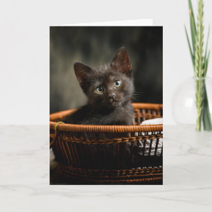Cutest Baby Animals Kitten in Basket Card
