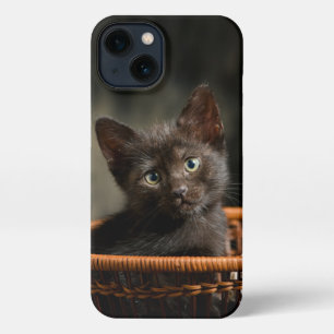 Cutest Baby Animals Kitten in Basket iPhone 13 Case