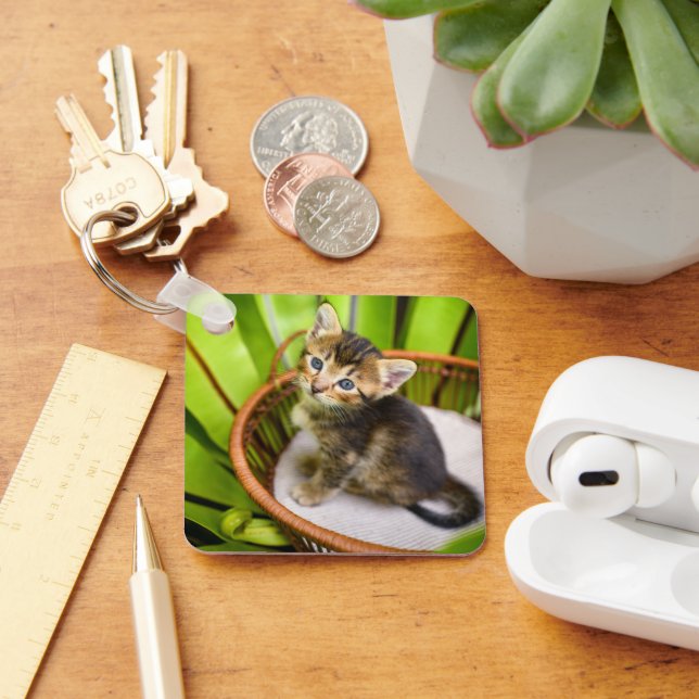 Cutest Baby Animals | Kitten in Basket Key Ring (Desk)