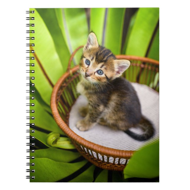 Cutest Baby Animals | Kitten in Basket Notebook (Front)