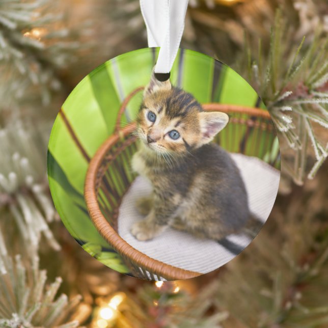 Cutest Baby Animals | Kitten in Basket Ornament (Tree)