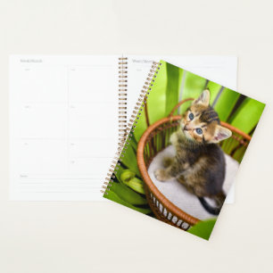 Cutest Baby Animals Kitten in Basket Planner