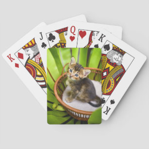 Cutest Baby Animals   Kitten in Basket Playing Cards