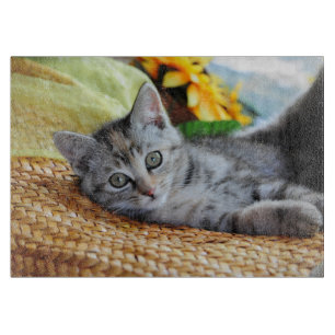 Cutest Baby Animals Kitten Lounging Cutting Board