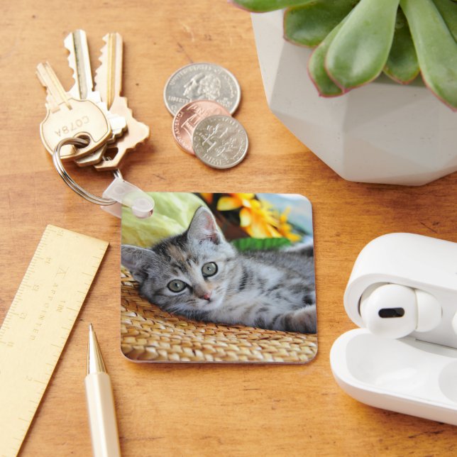 Cutest Baby Animals | Kitten Lounging Key Ring (Desk)