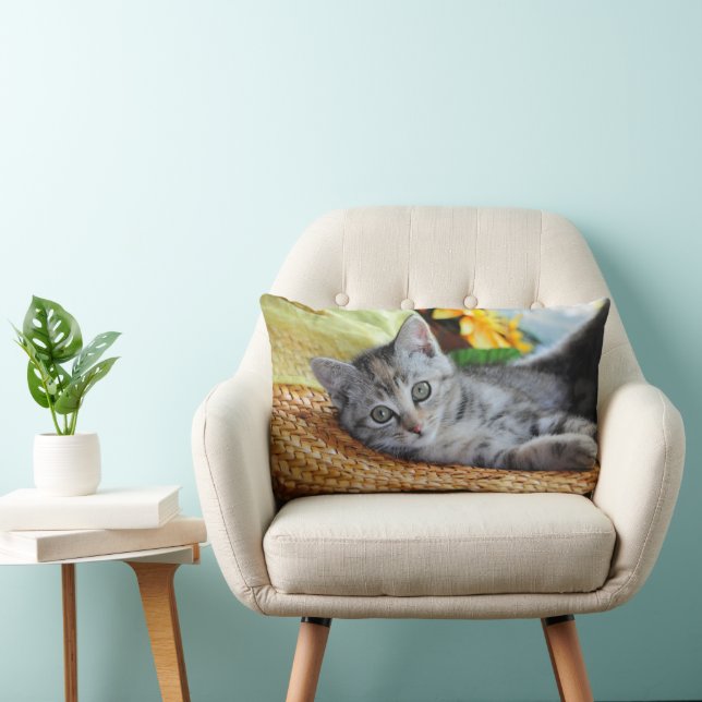 Cutest Baby Animals | Kitten Lounging Lumbar Cushion (Chair)