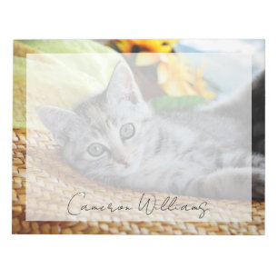 Cutest Baby Animals   Kitten Lounging Notepad