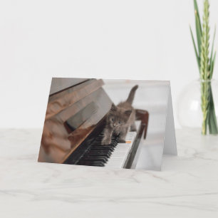 Cutest Baby Animals Kitten on Piano Card