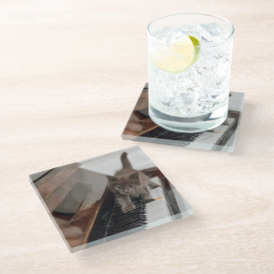 Cutest Baby Animals Kitten on Piano Glass Coaster