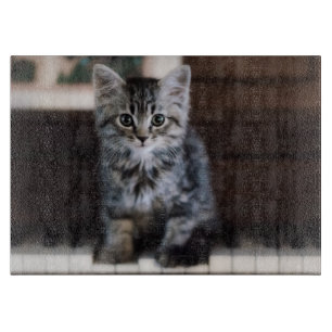 Cutest Baby Animals Kitten on Piano Keys Cutting Board