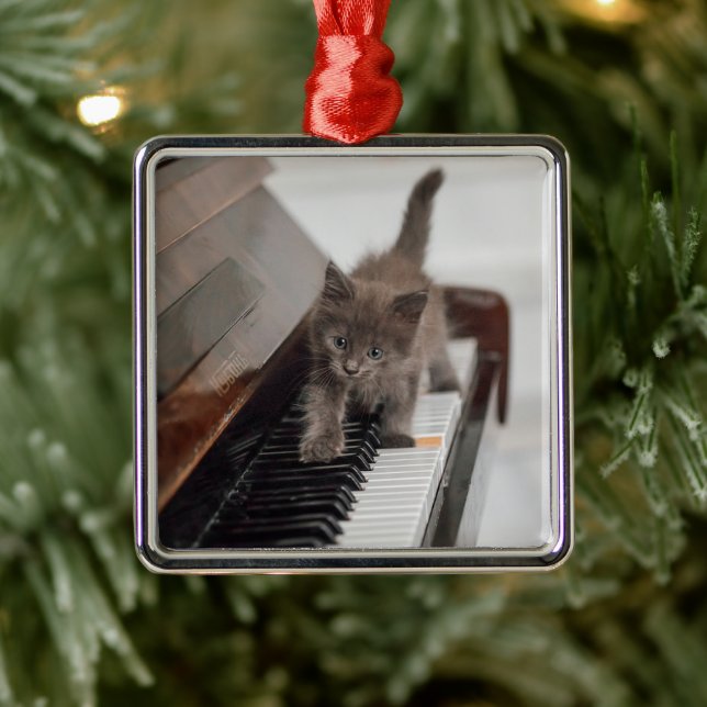 Cutest Baby Animals | Kitten on Piano Metal Tree Decoration (Tree)
