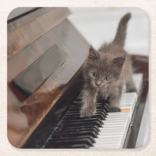 Cutest Baby Animals Kitten on Piano Square Paper Coaster