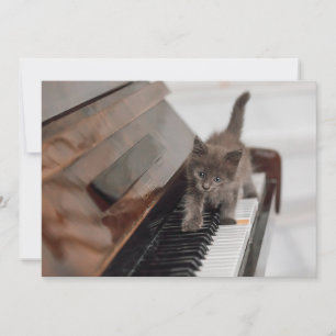 Cutest Baby Animals Kitten on Piano Thank You Card