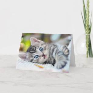 Cutest Baby Animals Kitten With Blue Eyes Card