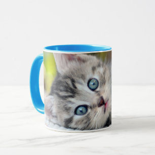 Cutest Baby Animals Kitten With Blue Eyes Mug