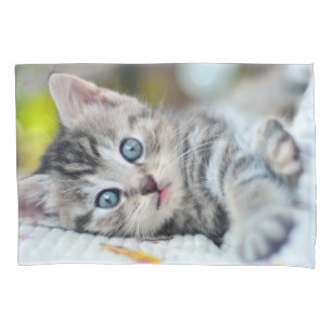 Cutest Baby Animals   Kitten With Blue Eyes Pillowcase