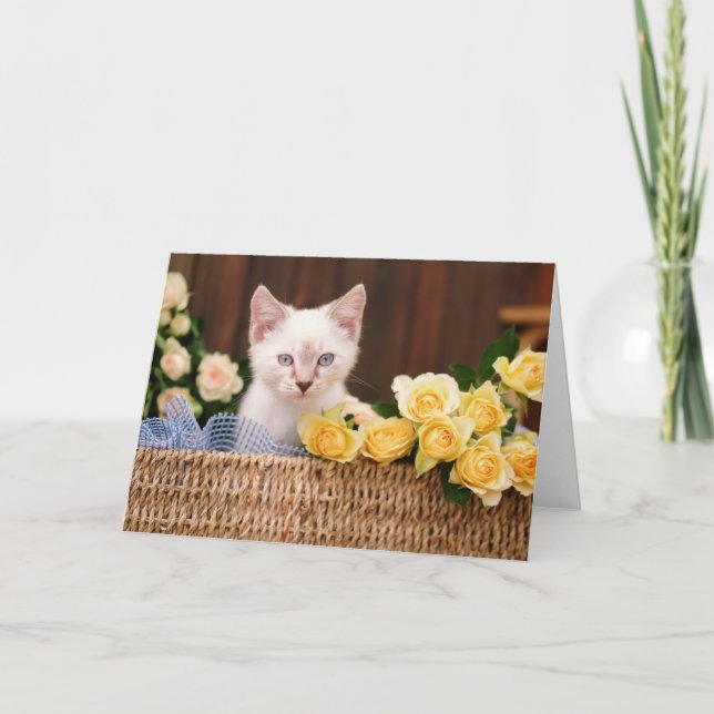 Cutest Baby Animals | Kitten & Yellow Roses Card (Front)