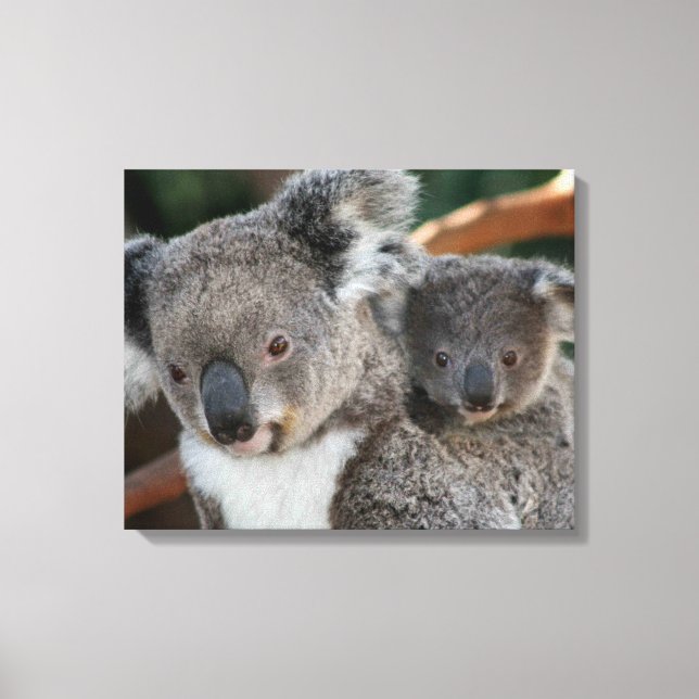 Cutest Baby Animals | Koala and Joey Canvas Print (Front)