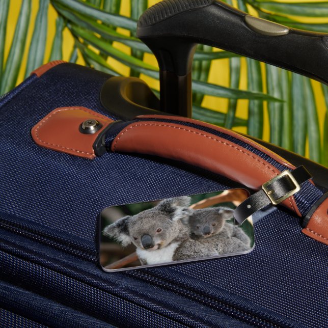 Cutest Baby Animals | Koala and Joey Luggage Tag (Front Insitu 3)