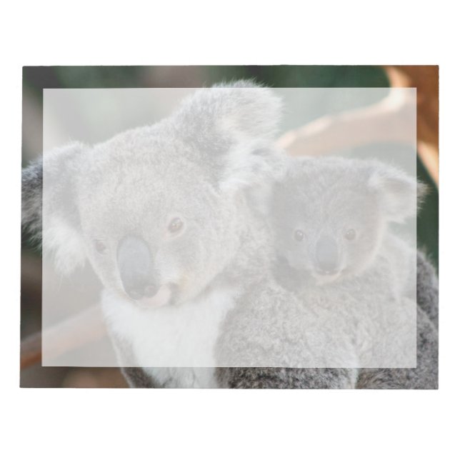Cutest Baby Animals | Koala and Joey Notepad (Front)