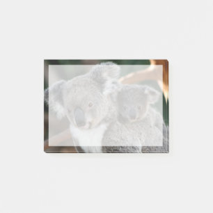 Cutest Baby Animals Koala and Joey Post-it Notes