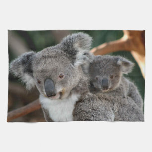 Cutest Baby Animals   Koala and Joey Tea Towel