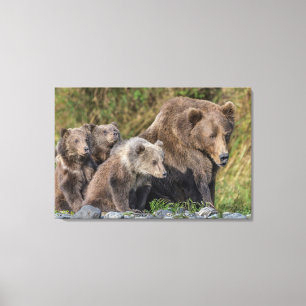 Cutest Baby Animals   Kodiak Mama Bear & Cubs Canvas Print