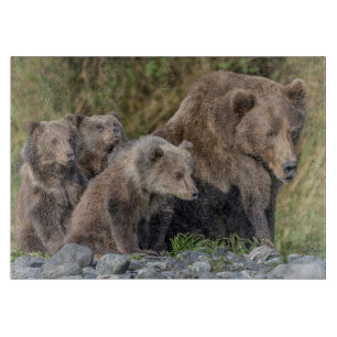 Cutest Baby Animals   Kodiak Mama Bear & Cubs Cutting Board