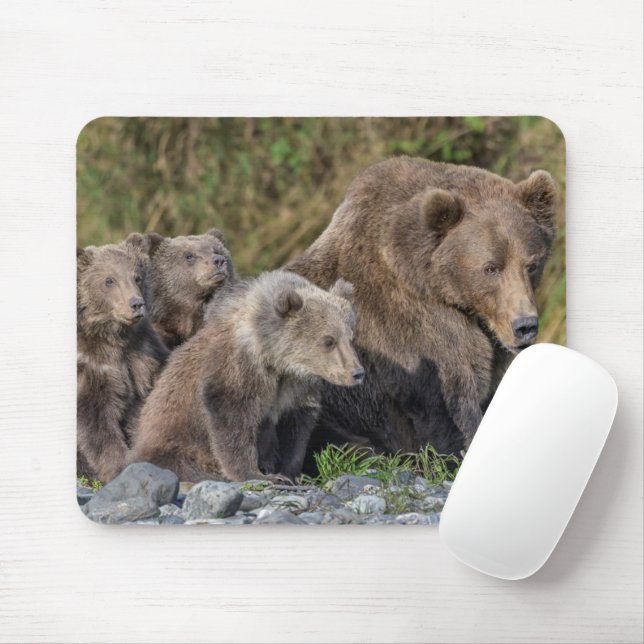 Cutest Baby Animals | Kodiak Mama Bear & Cubs Mouse Pad (With Mouse)