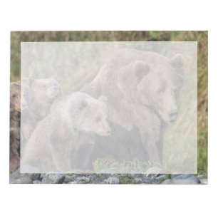 Cutest Baby Animals   Kodiak Mama Bear & Cubs Notepad