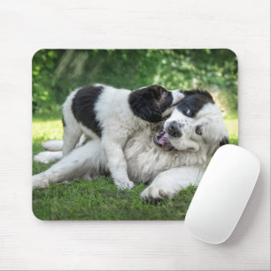 Cutest Baby Animals   Landseer Puppy Mouse Pad
