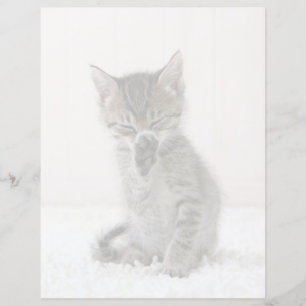 Cutest Baby Animals Licking Tabby Kitten