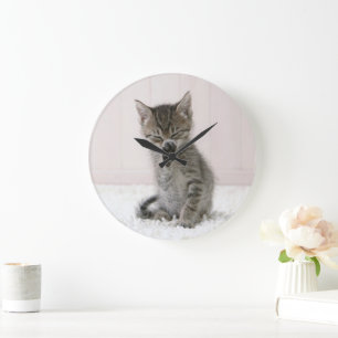 Cutest Baby Animals Licking Tabby Kitten Large Clock