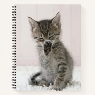 Cutest Baby Animals Licking Tabby Kitten Notebook
