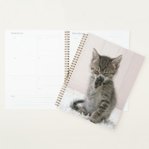 Cutest Baby Animals Licking Tabby Kitten Planner