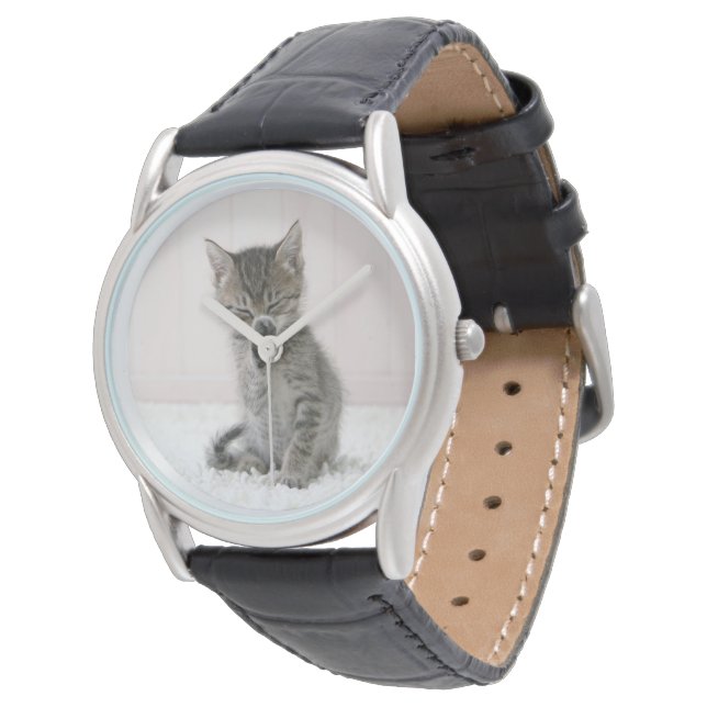Cutest Baby Animals | Licking Tabby Kitten Watch (Angled)